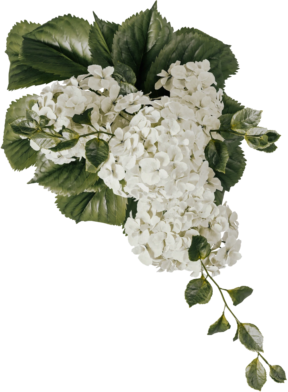 Page Header Background